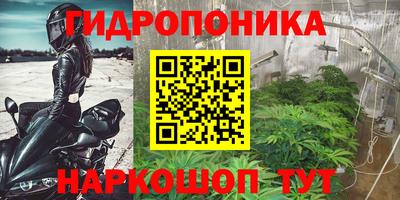 трава Усть-Илимск