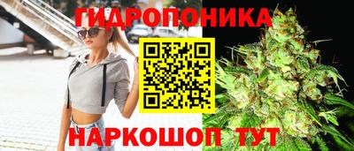 трава Усть-Илимск