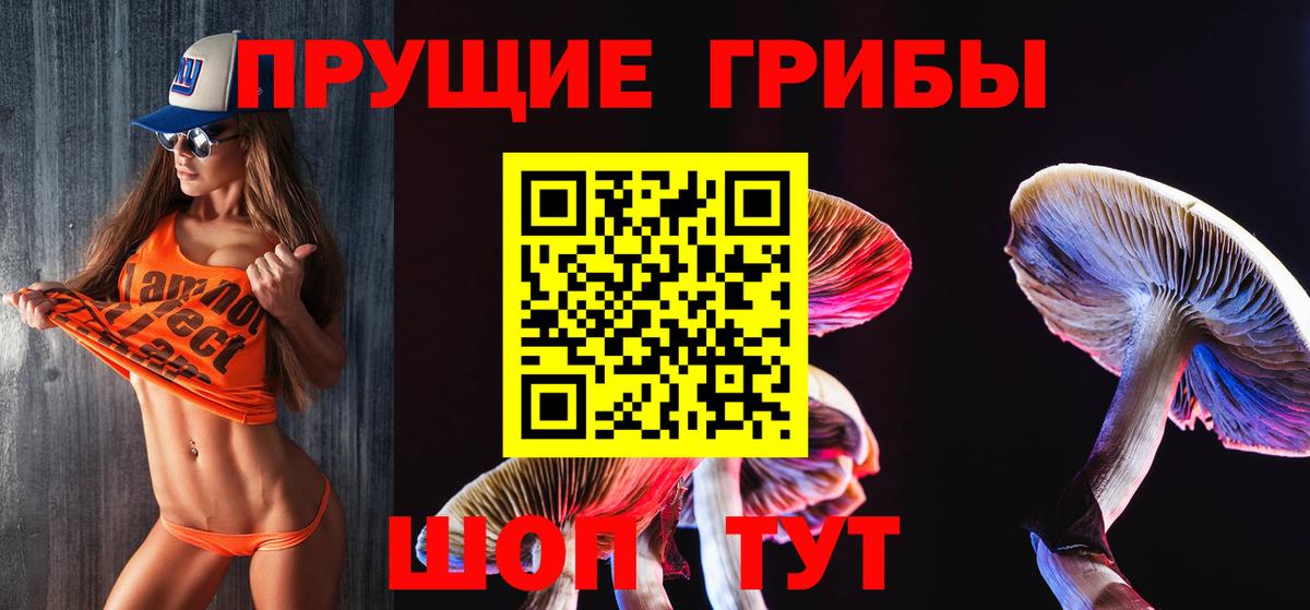 сколько стоит  Псилоцибиновые грибы прущие грибы  Вход с VPN  Новосибирск  Галлюциногенные грибы прущие грибы 