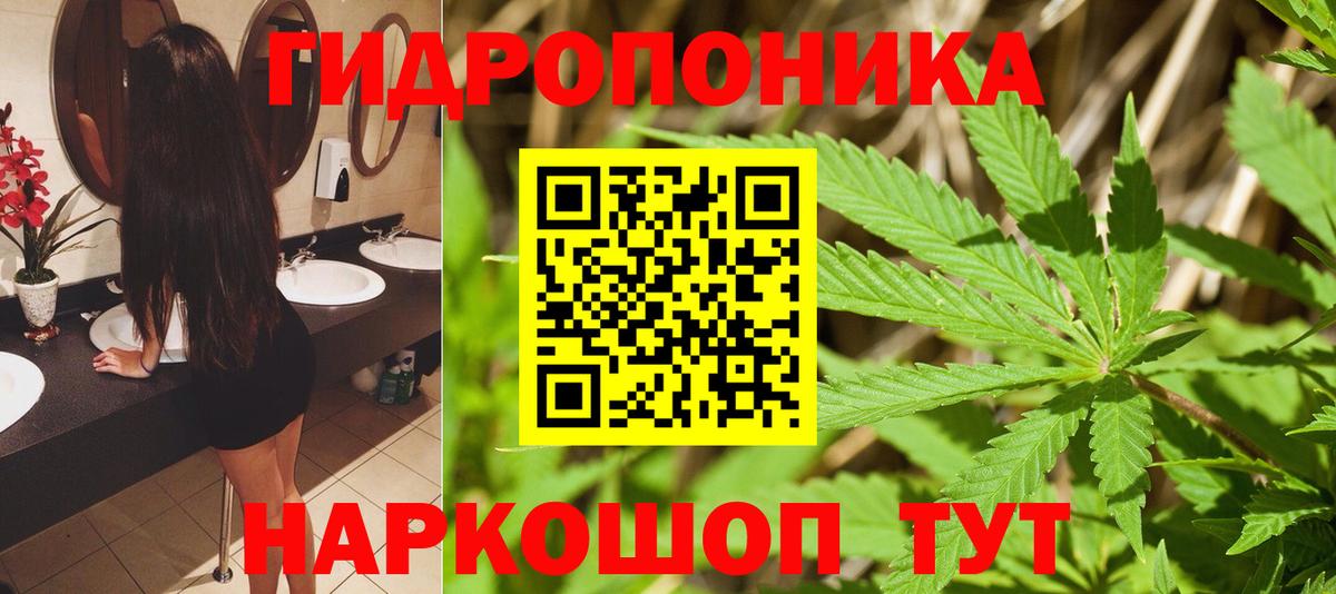 Конопля план  Вход с VPN  Конопля конопля  Новосибирск 